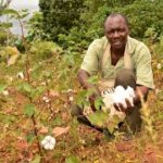 Top diaspora SACCOs facilitating financial solutions for Kenyans abroad