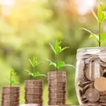 Different types of SACCO investments