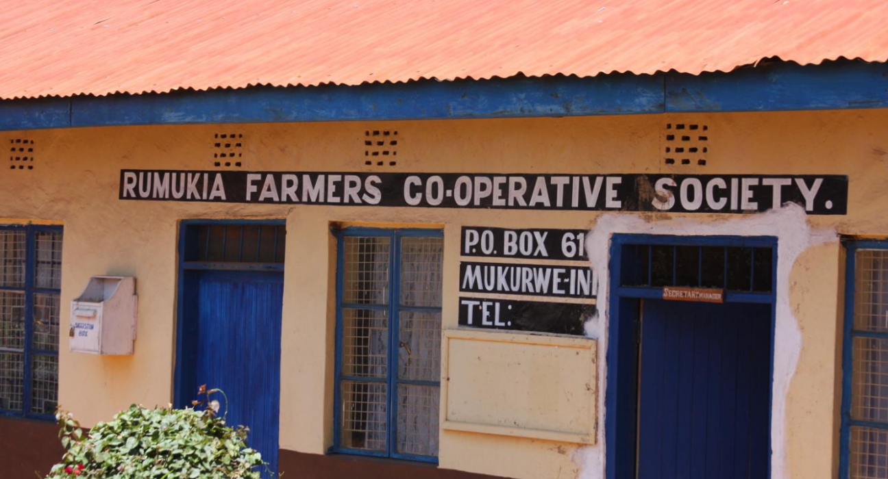Government's role in co-operative development in Kenya