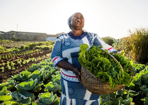 How SACCOs Create Employment: Importance of SACCOs in the Kenyan Economy