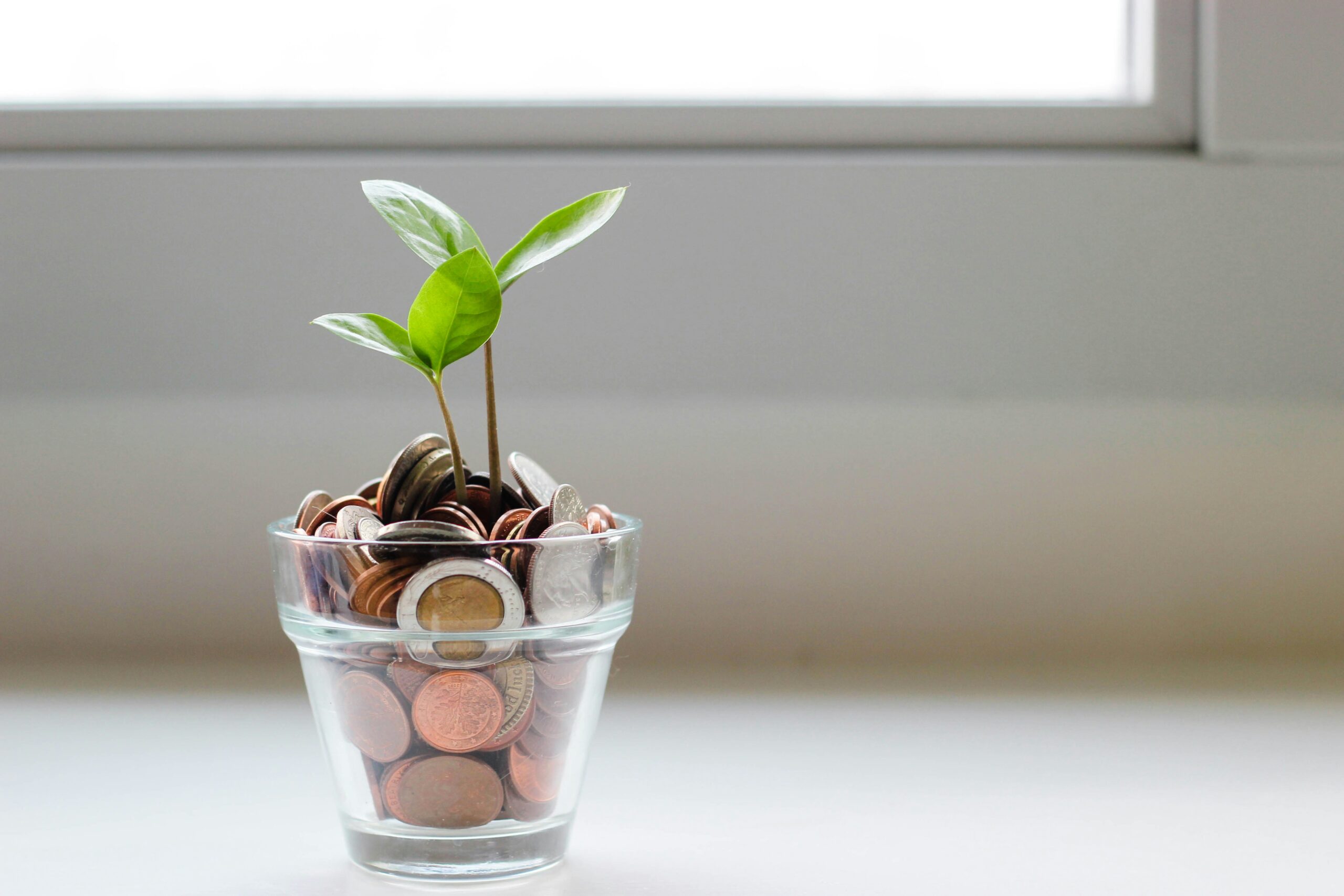 Different types of SACCO investments: saving in a SACCO: Investing: The role of SACCO funding in promoting inclusion and growth: how to save money as a teenager: