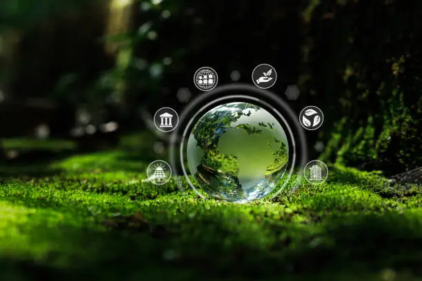 advantages of CSR for SACCOs