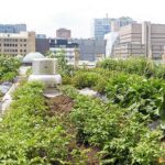 SACCO loan calculator: Simplifying loan planning for members