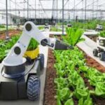 Understanding the reducing balance method