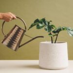 How to protect customer data privacy in business