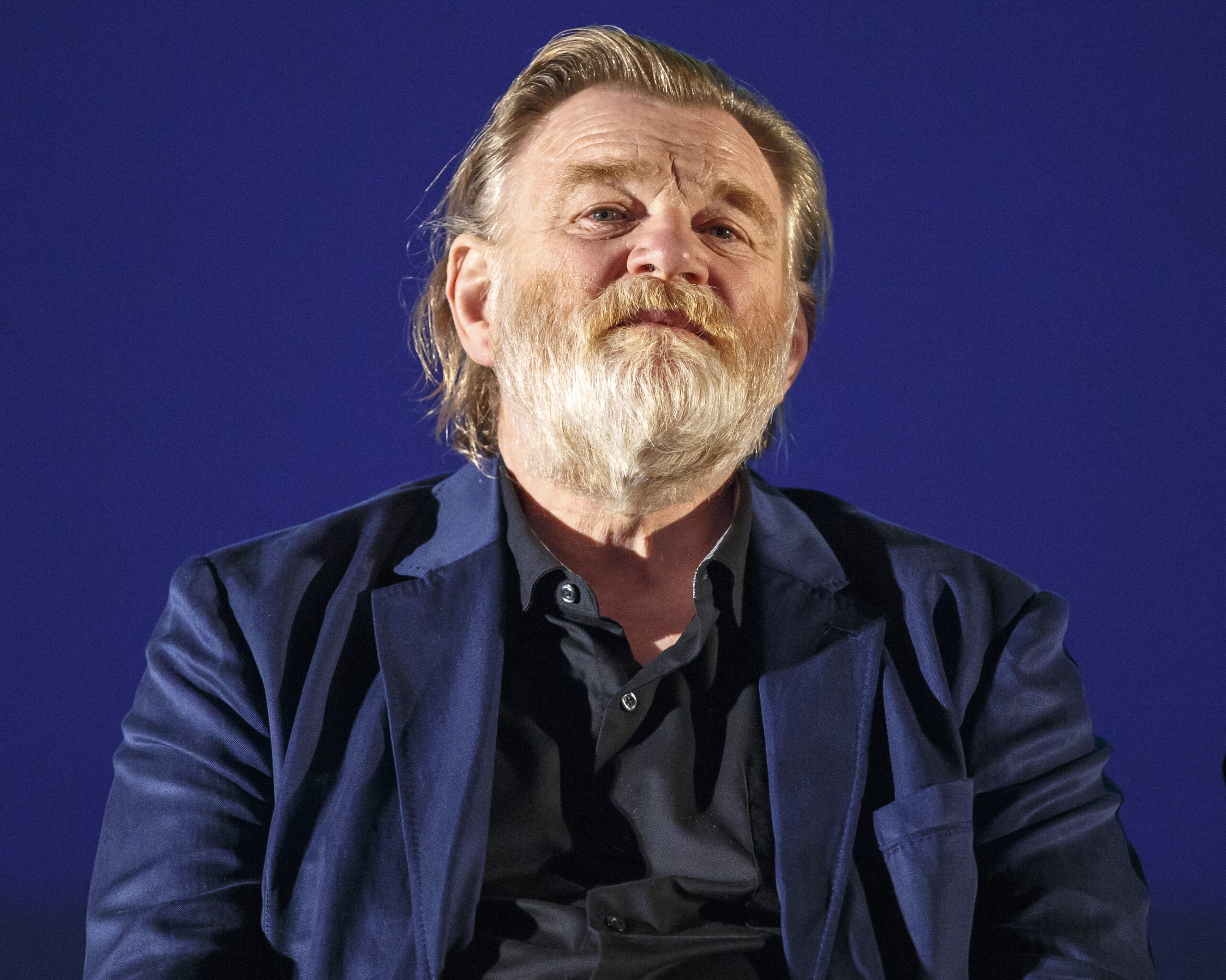 Brendan Gleeson Net Worth
