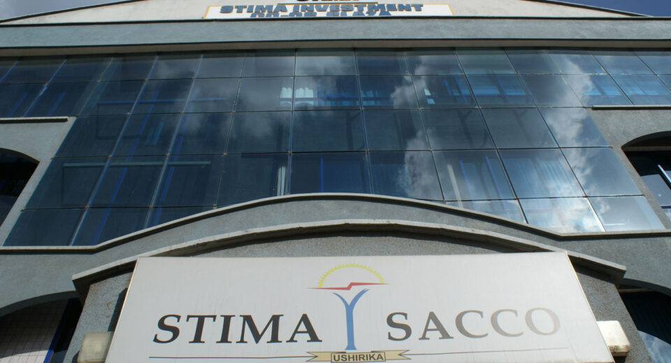 Stima DT Sacco Profile