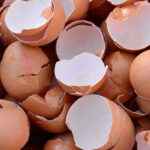  Effective guidance for preventing fall Armyworm infestations