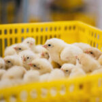 Why contingency planning matters for SACCOs