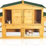 The importance of biosecurity in poultry farming