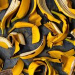 Chicken feather loss: Diagnostic patterns and solutions