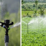 SACCOs and SMEs: A strategic partnership for economic growth