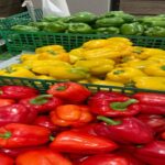 Tangerine farming:Planting to harvest tips