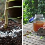 Key things members should look for in an audit report