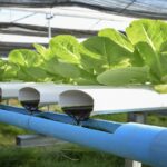 Modern irrigation methods for smallholder farmers
