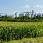 High-Value crops for small-scale farmers in 2026