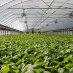 Importance of farmer training in modern agriculture