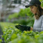 Common dividend range in Kenyan SACCOs: What members should know