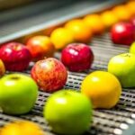 Difference between farming and agribusiness