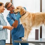 Biotechnology in agribusiness in Africa