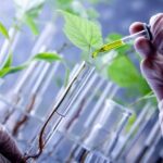 Veterinary services as an agribusiness