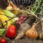 Agribusiness e-commerce platforms