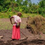 What you should know about taxation in agribusiness