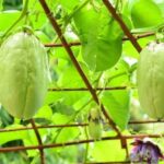 Agritourism business Ideas 2026