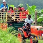 Passion fruit farming basics: A beginner’s guide to profitable production