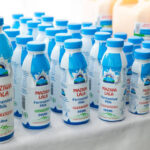 How to reduce mastitis in dairy cows