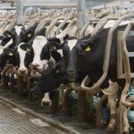 How to Start an Agribusiness Brand (Step-by-Step Guide for 2026)