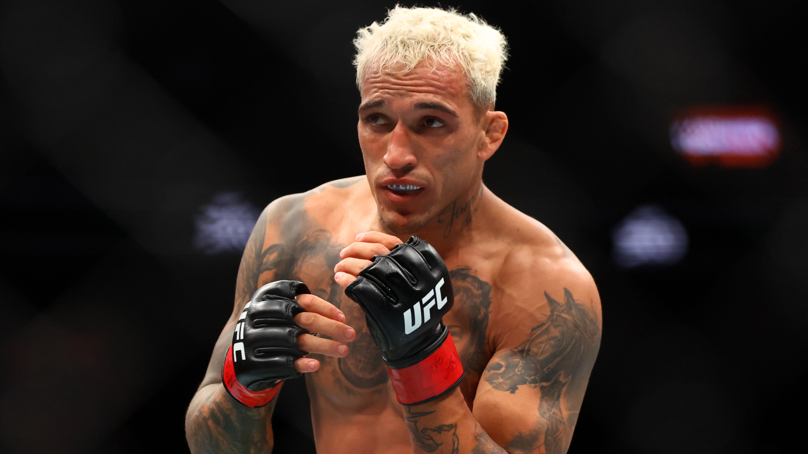 What is Charles Oliveira Net Worth?