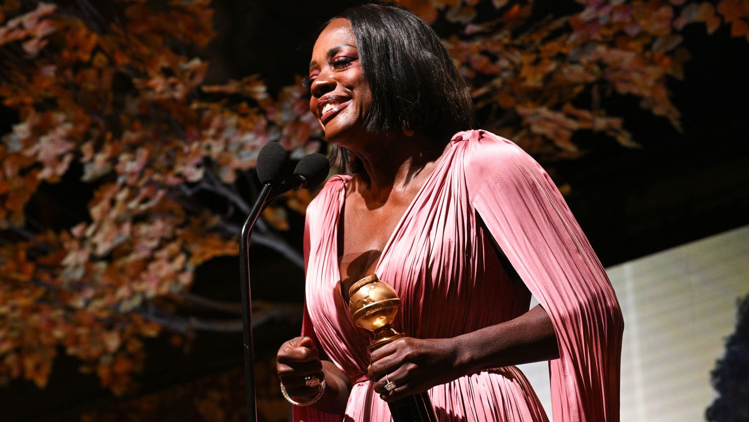 Viola Davis Net Worth