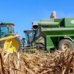 Best fertilizers for maize farming | 2026 update