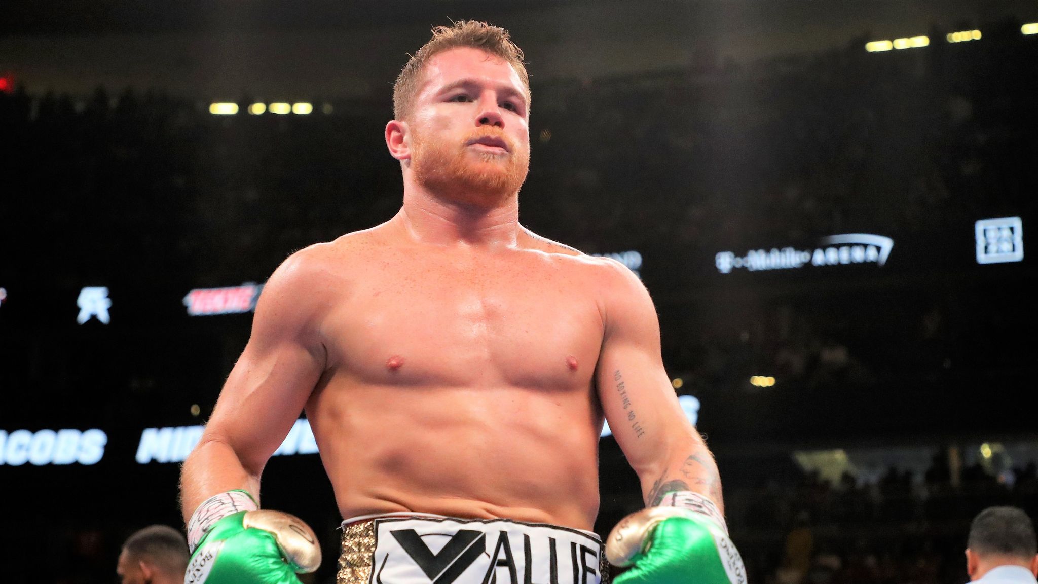 What is Saul Alvarez Net Worth and Salary?