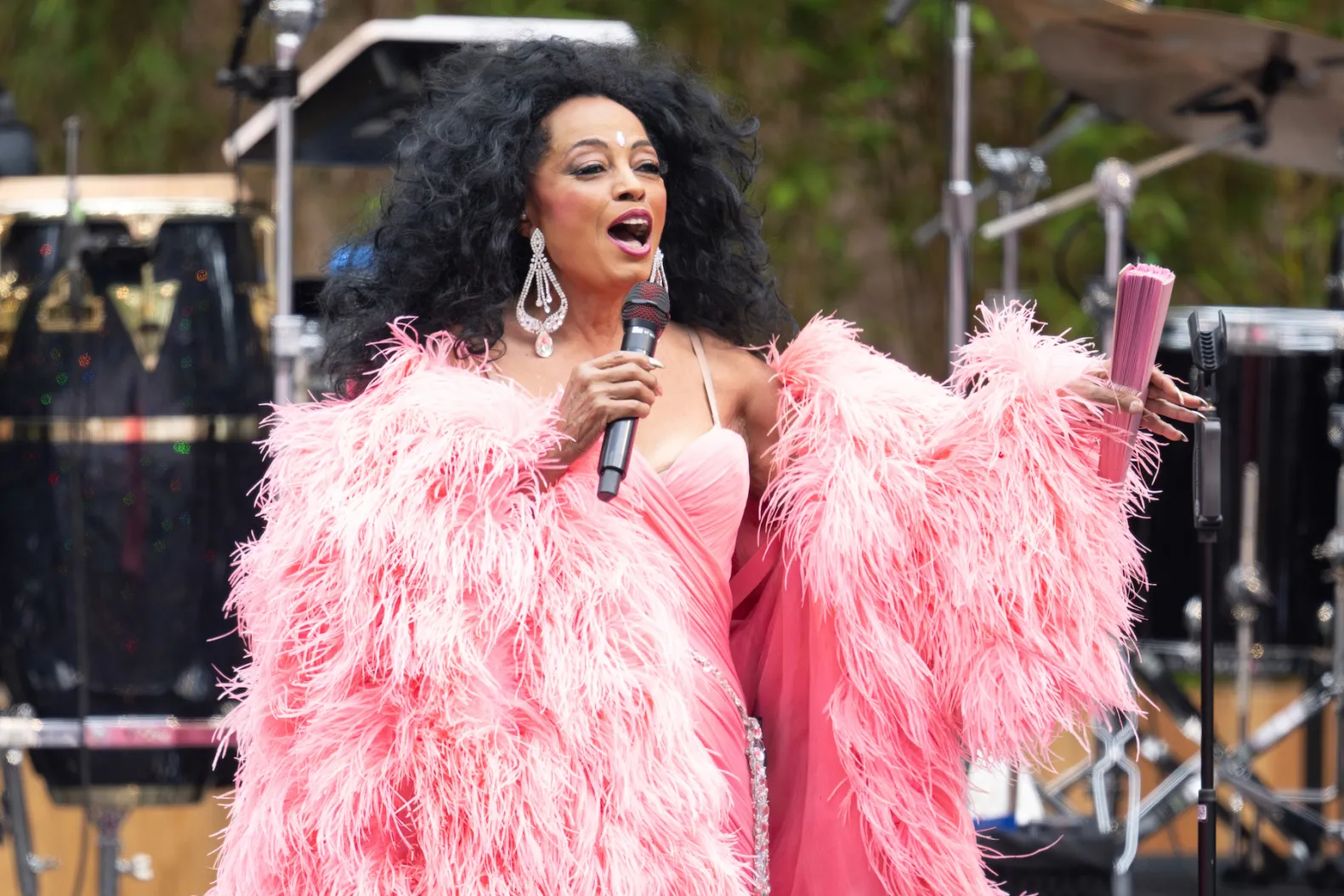 Diana Ross Net Worth