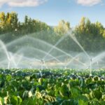 Signs of poor soil fertility: How to identify and fix it