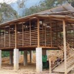 Chicken feeding schedule explained: Complete guide for faster growth and better production