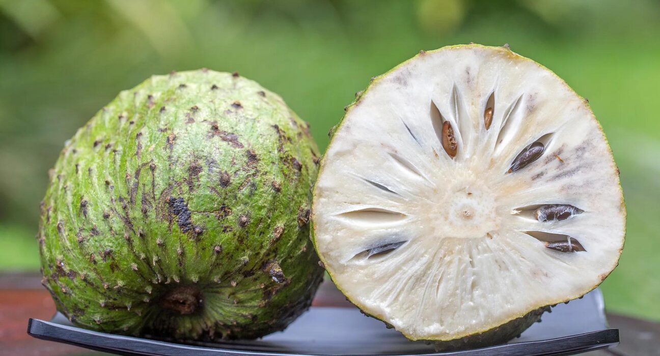Soursop fruit cut open, showing white flesh and brown seeds on a countertop scale with a green, blurred background.