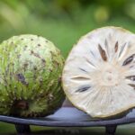 Custard Apple Farming in Kenya: A profitable guide for farmers