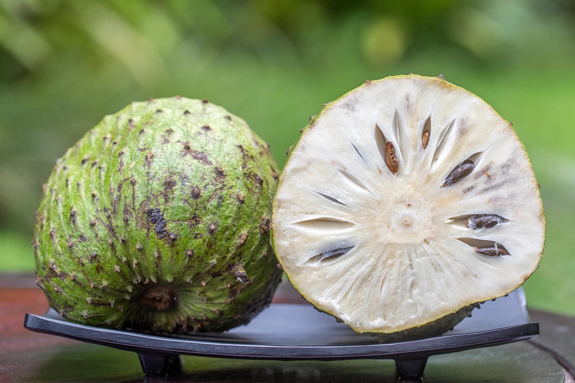 Soursop fruit cut open, showing white flesh and brown seeds on a countertop scale with a green, blurred background.