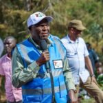 Coffee revival gains momentum in Nandi as rising prices spark fresh investment