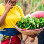 Common marketing mistakes farmers make and how to avoid them