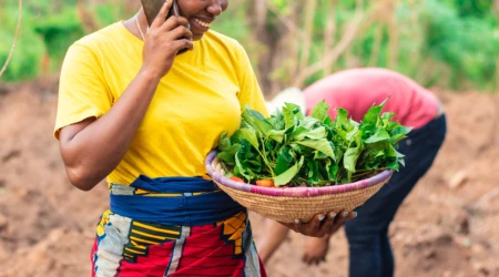 Farmer in a yellow shirt holds a basket of fresh leafy greens in a field, talking on the phone.