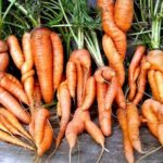 The Importance of farm record analysis: How data-driven decisions improve farm productivity