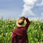 Agribusiness networking: Why building strong connections is essential for farming success
