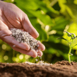 Signs your soil needs improvement: 10 warning signs every farmer should know
