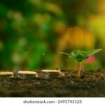 Fish hatchery business: A complete guide to starting a profitable fingerling enterprise
