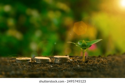 Small seedling growing beside stacked coins in soil, symbolizing financial growth and investment.