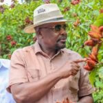 Ruto pledges cheaper fertilizer and seeds as gvt moves to revive farming after failed rains